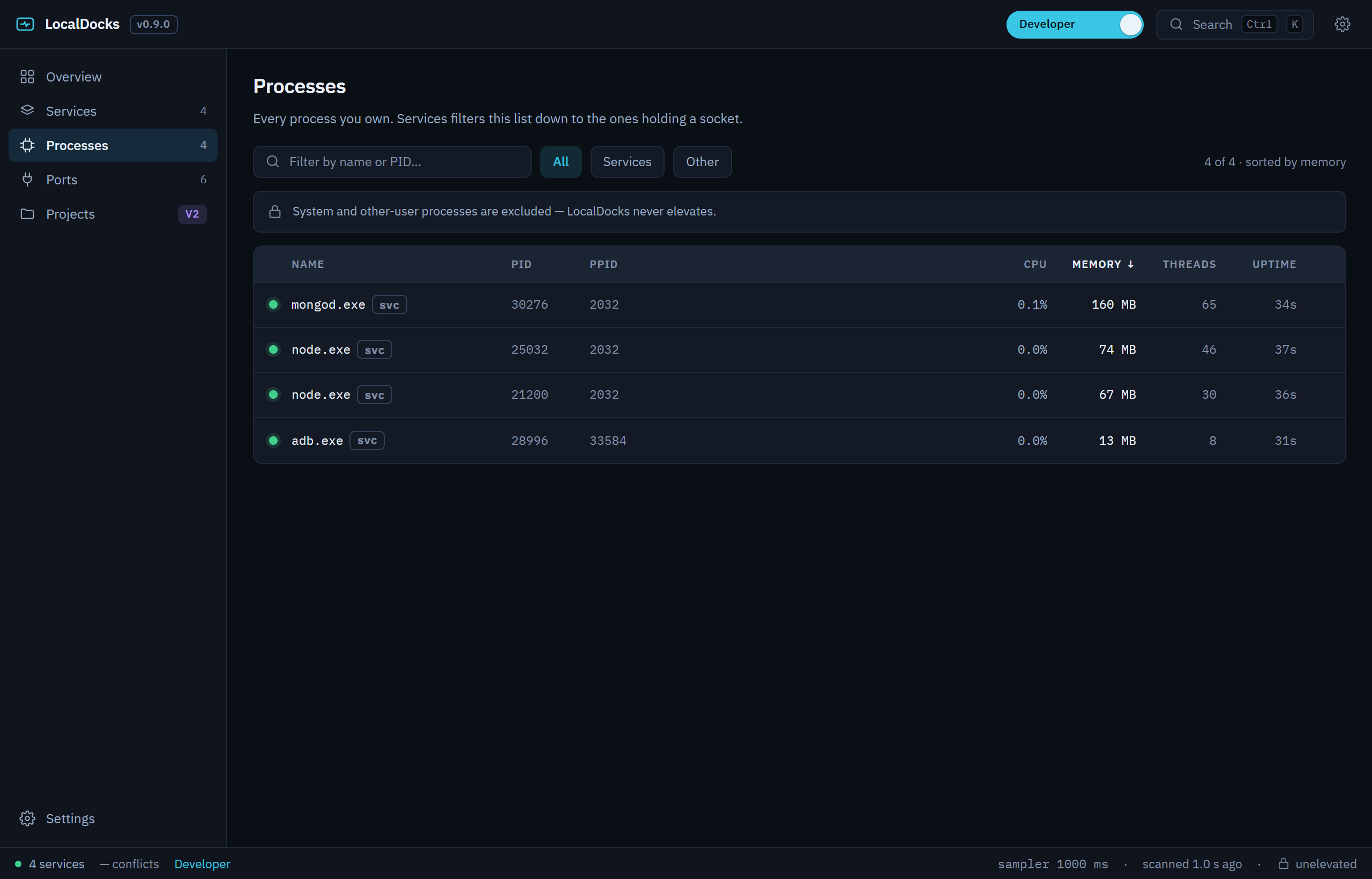 LocalDocks Processes in Developer mode, showing only the four processes that own classified development services.