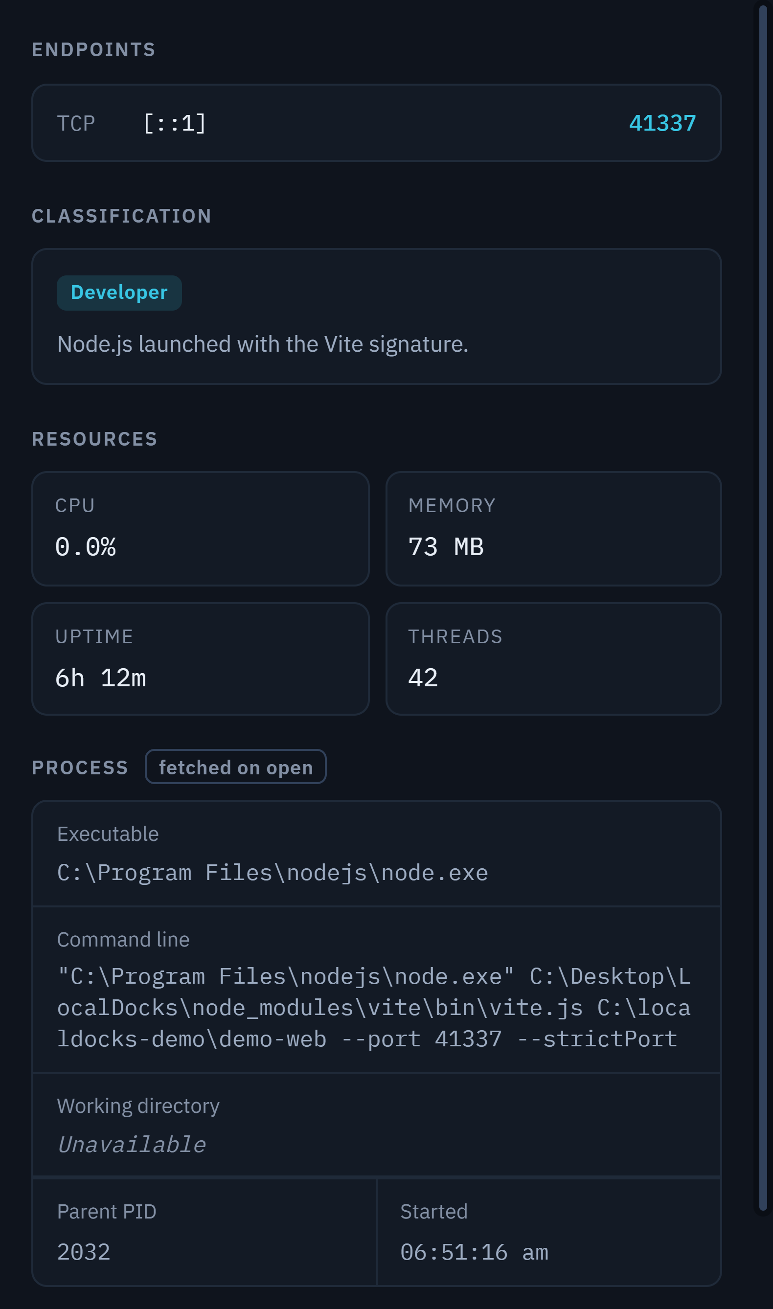 The LocalDocks detail panel showing a Node.js service classified Developer with the reason 'Node.js launched with the Vite signature', alongside its endpoint, CPU, memory, uptime, threads, executable path and full command line.